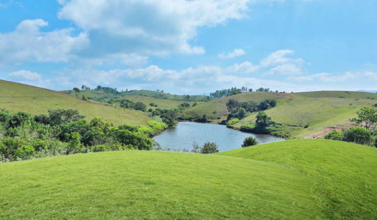 Vagamon Meadows